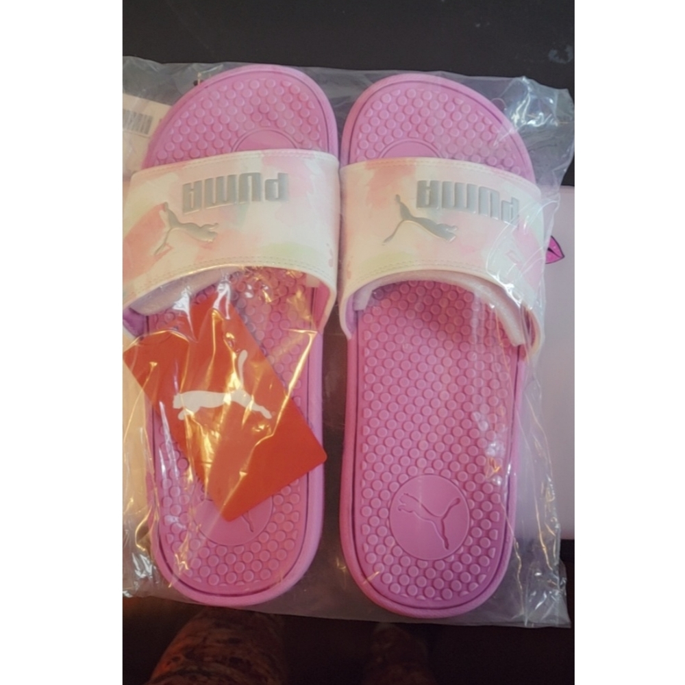PUMA Slides